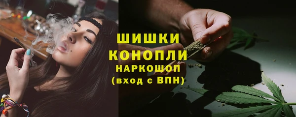 ГАЛЛЮЦИНОГЕННЫЕ ГРИБЫ Балахна
