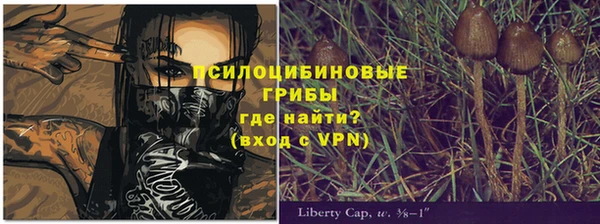 ГАЛЛЮЦИНОГЕННЫЕ ГРИБЫ Балахна