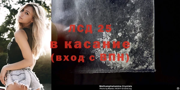 ГАЛЛЮЦИНОГЕННЫЕ ГРИБЫ Балахна