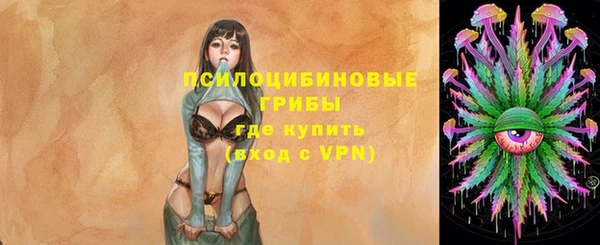 ГАЛЛЮЦИНОГЕННЫЕ ГРИБЫ Балахна
