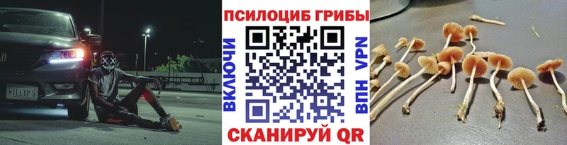Галлюциногенные грибы MAGIC MUSHROOMS  KRAKEN ссылка  Белорецк 